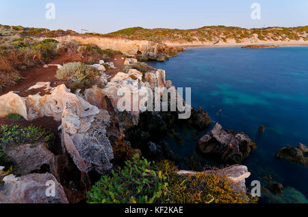 Versteinerte Reste von tuart Wald in der tamala Kalkstein thoughout point Peron und der shoalwater Islands Marine Park in der Nähe von Newport Stockfoto