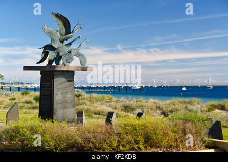 Wilde Gänse, catalpa Memorial, Palm Beach, Western Australia Rockingham Stockfoto