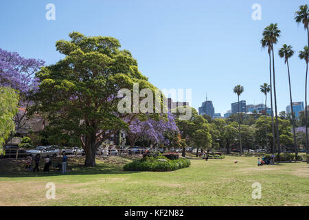 Milson Park, North Sydney, Sydney, NSW, Australien Stockfoto