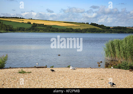Slapton Ley an der Südküste von devon Stockfoto