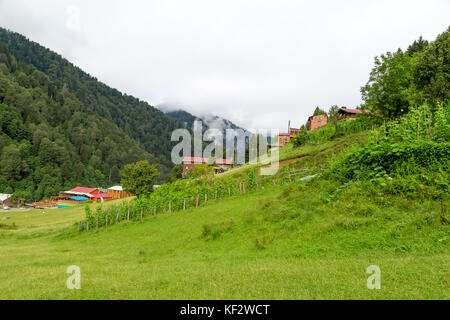 RIZE, Türkei - 16. AUGUST 2016: Allgemeine Landschaft Blick auf berühmte Ayder Plateau in Camlihemsin, Rize. Ayder Plateau hat große Wiesenfläche mit Holz- m Stockfoto