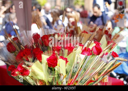 Rosen in Sant Jordi Tag, traditionelles Geschenk in Katalonien, Spanien Stockfoto