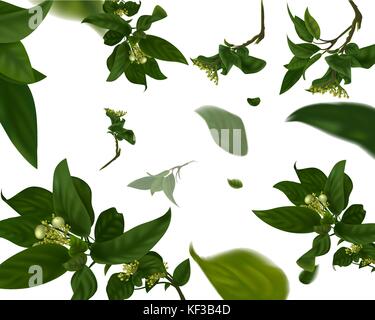 Lebendige Zweig mit frischen grünen Blättern. Sommer oder Frühling. Realistische Vector Illustration Stock Vektor