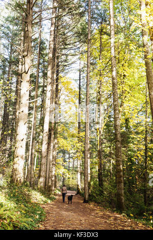 Frau zu ihrem Hund in der Natur. Elk Lake, Vancouver Island BC. Kanada Stockfoto