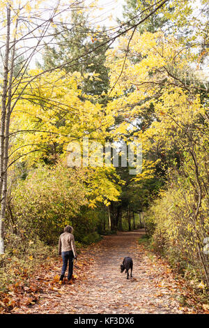 Frau zu ihrem Hund in der Natur. Elk Lake, Vancouver Island BC. Kanada Stockfoto