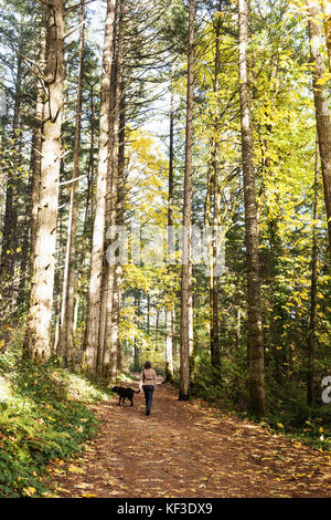 Frau zu ihrem Hund in der Natur. Elk Lake, Vancouver Island BC. Kanada Stockfoto