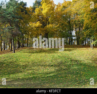 Golden echten Herbst Ahorn Hügel Landschaft. Panoramablick auf die Collage aus mehreren outdoor Fotos. Mittlere format Filmkamera Imitation Stockfoto