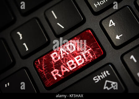 Nachricht an Gebrochener roter ENTER-Taste der Tastatur. Computer schlecht Kaninchen Virus angreifen. Platz kopieren Stockfoto