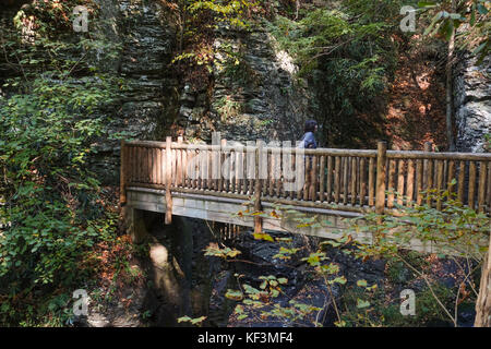 Bushkill Falls, Holzstege entlang 8 Wasserfälle, Pennsylvania Pocono Mountains, United States Stockfoto