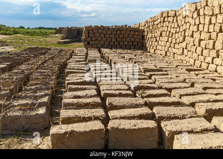 Ziegel aus Lehm und Stroh. Stockfoto