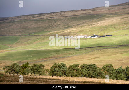 Remote Bauernverbände in oberen Teesdale, County Durham, England, Großbritannien Stockfoto