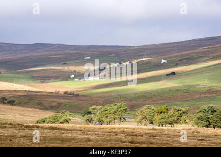 Remote Bauernverbände in oberen Teesdale, County Durham, England, Großbritannien Stockfoto