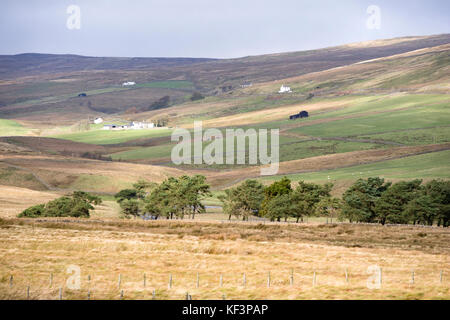 Remote Bauernverbände in oberen Teesdale, County Durham, England, Großbritannien Stockfoto