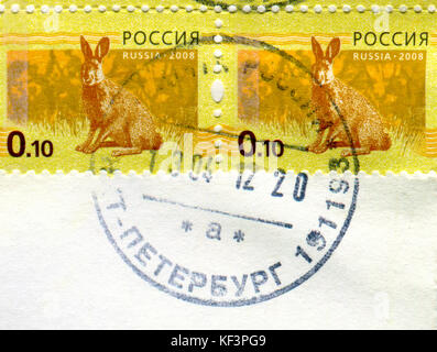 GOMEL, WEISSRUSSLAND, 13. OKTOBER 2017, Briefmarke gedruckt in Russland zeigt Bild des Hasen, um 2008. Stockfoto