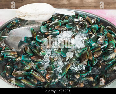 Frische Muscheln Haufen mit der Schaufel in der metallmantel des thailändischen lokalen Markt in der Nähe des Meeres. Stockfoto