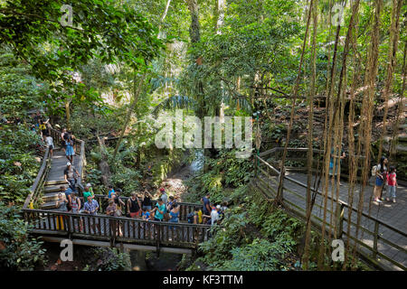 Touristen gehen auf einer Holzbrücke mit überwuchsig bewachsenen Bäumen im Heiligtum des Heiligen Monkey Forest. Ubud, Bali, Indonesien. Stockfoto