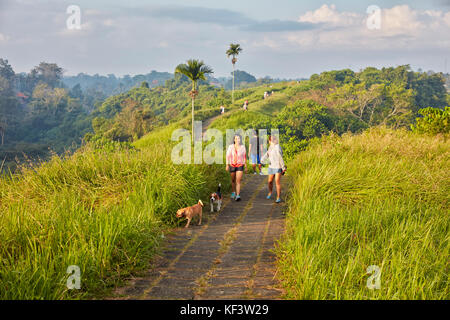 Hundebesitzer gehen mit ihren Hunden auf dem Campuhan Ridge Walk. Ubud, Bali, Indonesien. Stockfoto