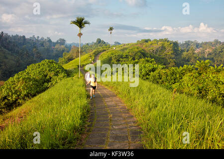 Menschen zu Fuß auf campuhan Grat entfernt. Ubud, Bali, Indonesien. Stockfoto
