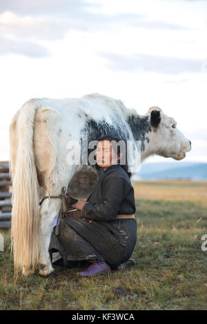 Im mittleren Alter Mongolin melken eine schwarze und weiße Yak im Norden der Mongolei. khuvsgol, Mongolei. Stockfoto