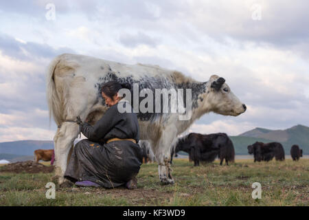 Im mittleren Alter Mongolin melken eine schwarze und weiße Yak im Norden der Mongolei. khuvsgol, Mongolei. Stockfoto