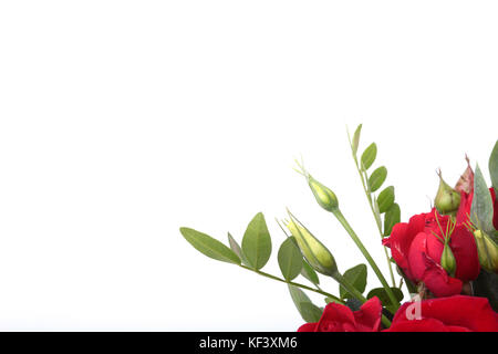 Luxus Blumenstrauß aus roten und weißen Rosen auf weißem Hintergrund. Dekoration für Feiern. Stockfoto