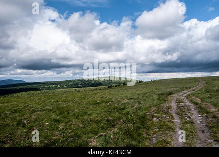 Praded Hill aus Wanderweg in der Nähe von vysoka Loch Hill im Sommer Gesenke in der Tschechischen Republik Stockfoto