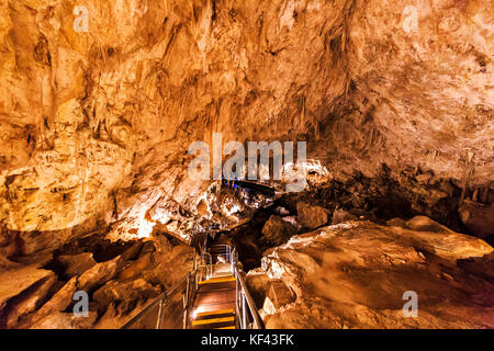 Der Kalkstein Mammoth Cave in der Nähe von Margaret River, Western Australien Stockfoto