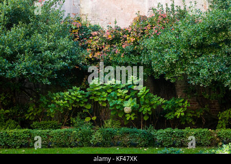 Venedig, Italien, Oktober 2017. Pflanzen und Bäume ändern Laub im Garten des Palazzo nani Bernardo in Venedig, Italien. © Simone padovani Stockfoto