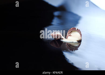 Schokolade Pralinen auf schwarzem Hintergrund. Stockfoto