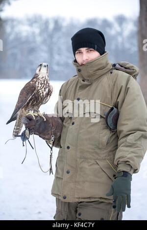 Mann mit einem Falcon Stockfoto