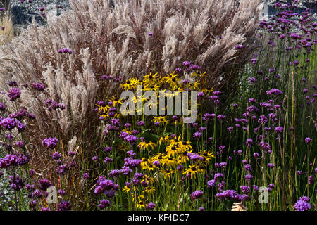 Gemischte Hebaceous Pflanzen Stockfoto