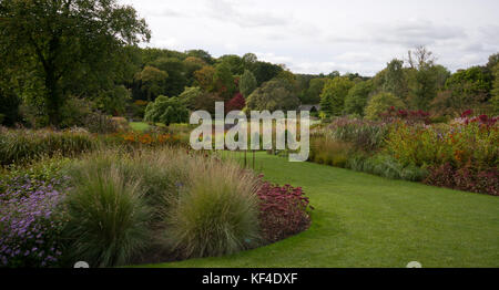 Herbst in Harlow Carr Gärten Stockfoto