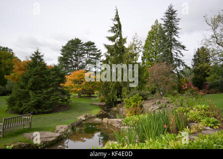 Herbst in Harlow Carr Gärten Stockfoto