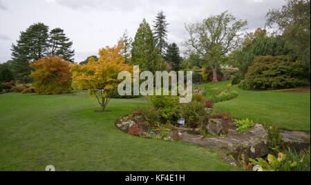 Herbst in Harlow Carr Gärten Stockfoto