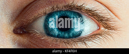 Weibliche blaue Augen mit langen Wimpern hautnah. Menschliche Auge Makro Detail. Stockfoto