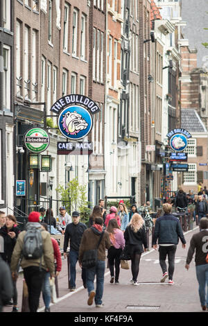 The Bull Dog Coffee Shops im Rotlichtviertel, Amsterdam, Niederlande Stockfoto