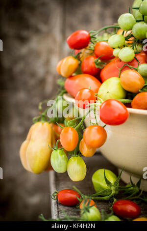 Gemischt Ernte der Tomaten Sorten - Ende der Saison Stockfoto