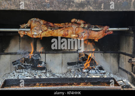 Ferkel am Spieß braten Stockfoto