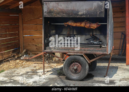 Ferkel am Spieß braten Stockfoto
