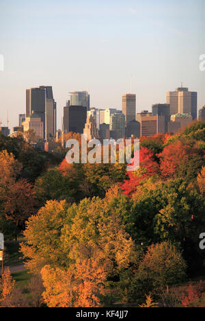 Kanada, Quebec, Montreal, Ste-HŽlne Island, Herbstlaub, Skyline der Innenstadt, Stockfoto