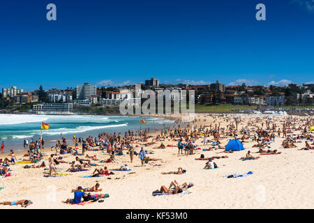 Bondi Beach an einem Sommertag. Sydney, New South Wales, Australien. Stockfoto