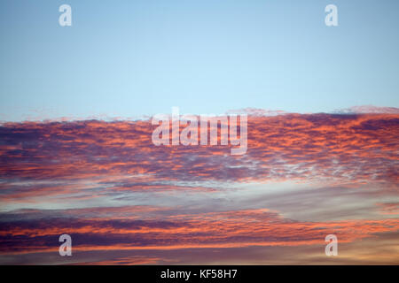 Full Frame dramatischer Himmel mit roten Wolken und Platz kopieren auf Blau bei Sonnenuntergang Stockfoto
