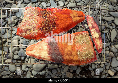 Frisch gefangenen raw saukeye Lachssteaks mit Gewürzen und Kräutern auf einem Draht camping Grill über eine steinige Ufer des River, Alaska waiti kipchuk Stockfoto