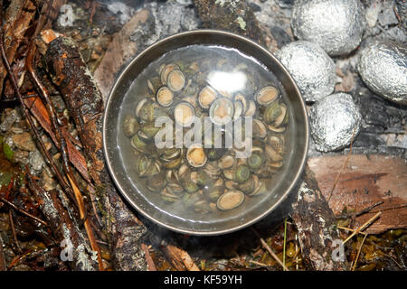 Hohe Betrachtungswinkel von Muscheln kochen im Topf am Lagerfeuer mit gebackenen Kartoffeln Stockfoto