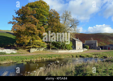 Coquetdale Tal im Herbst Stockfoto