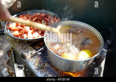 Kochen crawdads und Fisch über einem Gasbrenner in einen Topf mit kochendem Wasser mit Zitrone und Gewürze auf einem kleinen tragbaren Campingkocher Stockfoto