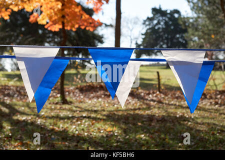 Stränge der bunten dreieckigen blauen und weißen Bunting hängend im Freien in einem Bereich mit Bäumen im bunten Herbst Laub abgedeckt Stockfoto