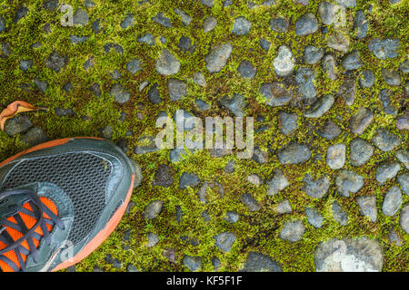 Moos auf einem alten Stein Straße. Sneakers close-up Stockfoto