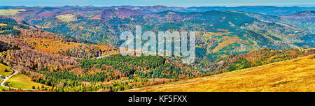 Bunte Herbst Landschaft der Vogesen im Elsass, Frankreich Stockfoto