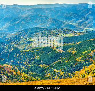 Bunte Herbst Landschaft der Vogesen im Elsass, Frankreich Stockfoto